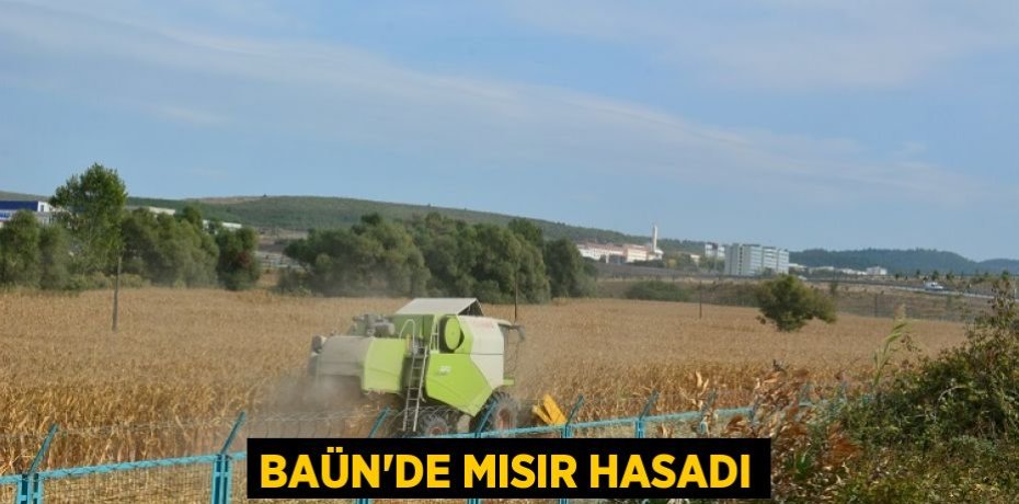 BAÜN’DE MISIR HASADI