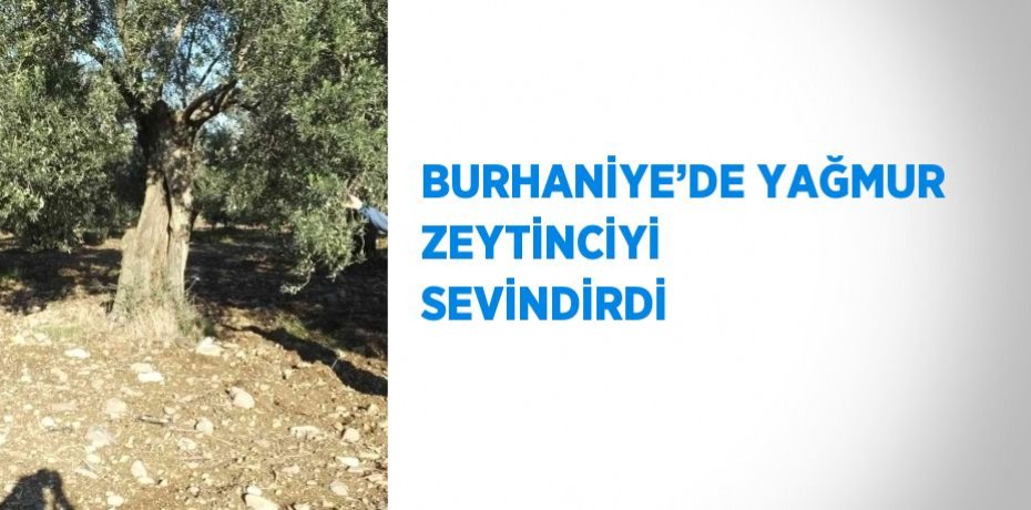 BURHANİYE’DE YAĞMUR ZEYTİNCİYİ SEVİNDİRDİ