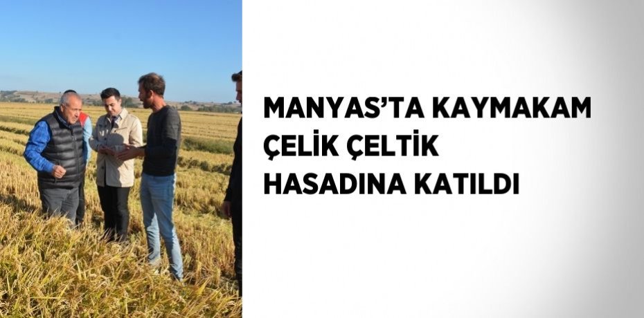 MANYAS’TA KAYMAKAM ÇELİK ÇELTİK HASADINA KATILDI