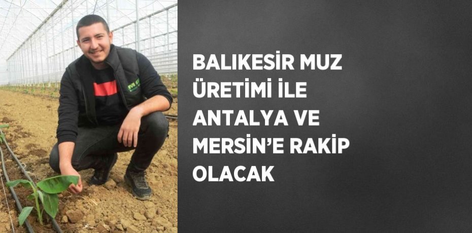 BALIKESİR MUZ ÜRETİMİ İLE ANTALYA VE MERSİN’E RAKİP OLACAK