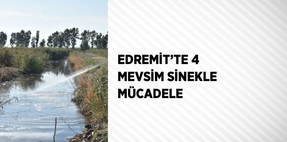 EDREMİT’TE 4 MEVSİM SİNEKLE MÜCADELE