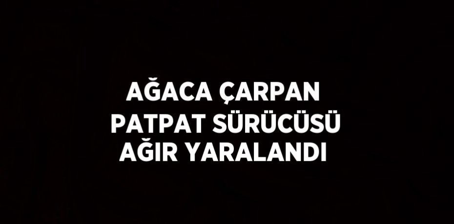 AĞACA ÇARPAN PATPAT SÜRÜCÜSÜ AĞIR YARALANDI