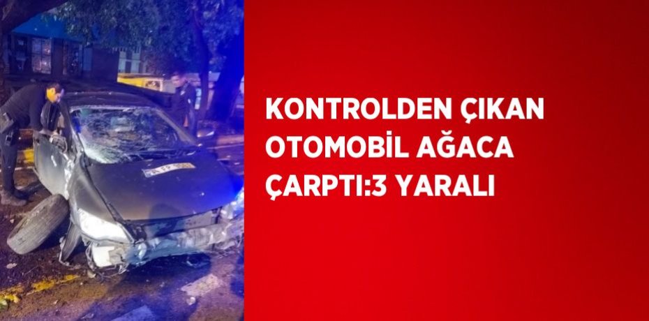 KONTROLDEN ÇIKAN OTOMOBİL AĞACA ÇARPTI:3 YARALI