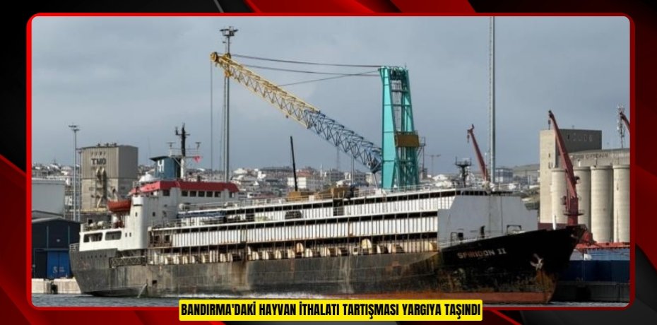 Bandırma'daki hayvan ithalatı tartışması yargıya taşındı