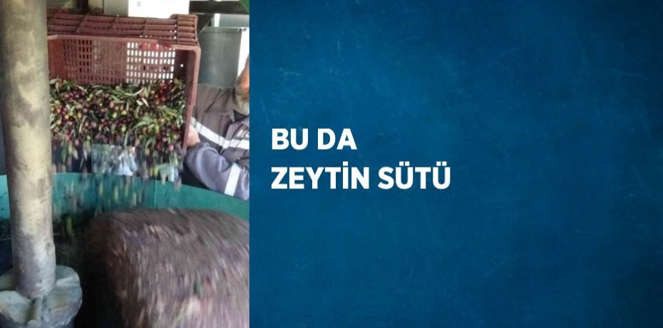 BU DA ZEYTİN SÜTÜ
