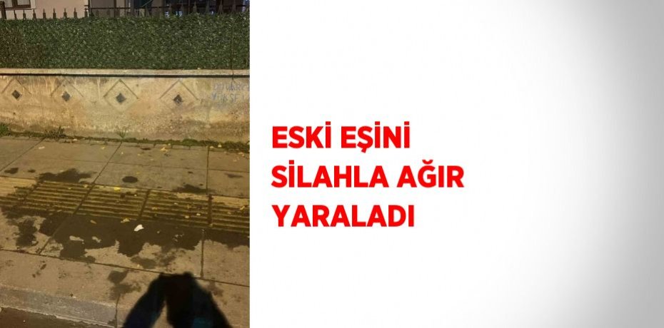 ESKİ EŞİNİ SİLAHLA AĞIR YARALADI