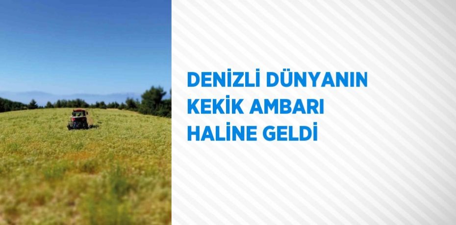 DENİZLİ DÜNYANIN KEKİK AMBARI HALİNE GELDİ