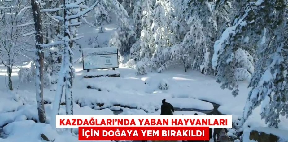 KAZDAĞLARI’NDA YABAN HAYVANLARI İÇİN DOĞAYA YEM BIRAKILDI