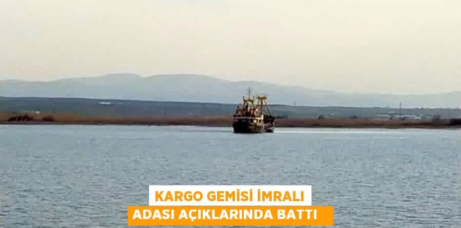 Kargo gemisi İmralı Adası açıklarında battı  