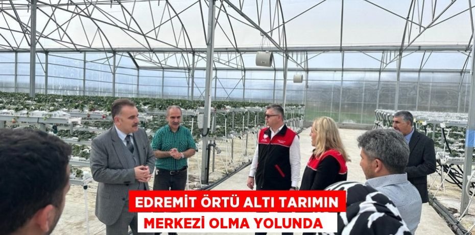 Edremit örtü altı tarımın merkezi olma yolunda  