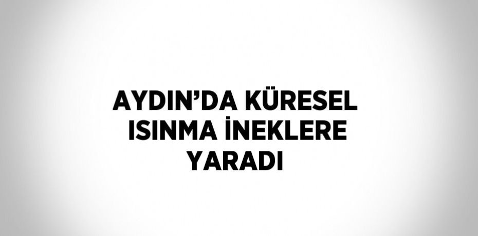 AYDIN’DA KÜRESEL ISINMA İNEKLERE YARADI