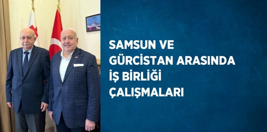 SAMSUN VE GÜRCİSTAN ARASINDA İŞ BİRLİĞİ ÇALIŞMALARI