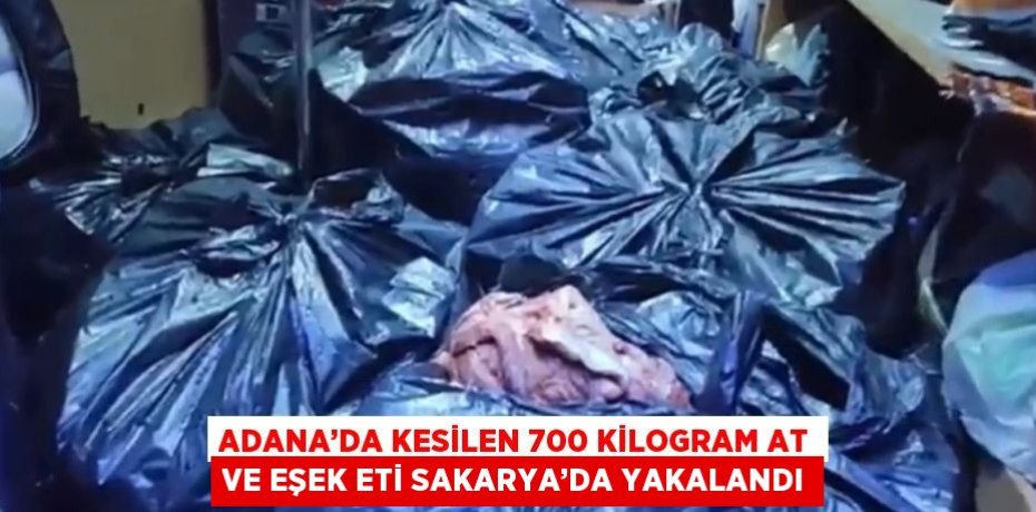 ADANA’DA KESİLEN 700 KİLOGRAM AT VE EŞEK ETİ SAKARYA’DA YAKALANDI