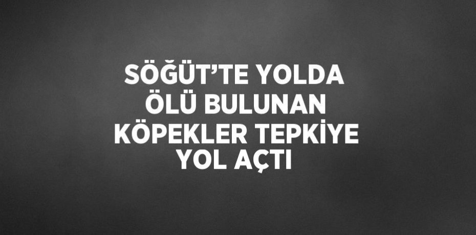 SÖĞÜT’TE YOLDA ÖLÜ BULUNAN KÖPEKLER TEPKİYE YOL AÇTI