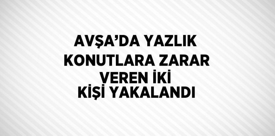 AVŞA’DA YAZLIK KONUTLARA ZARAR VEREN İKİ KİŞİ YAKALANDI