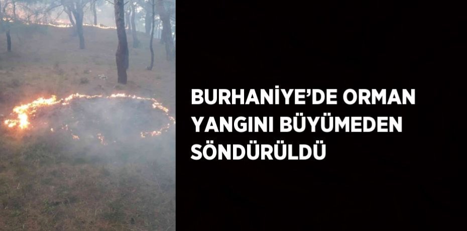 BURHANİYE’DE ORMAN YANGINI BÜYÜMEDEN SÖNDÜRÜLDÜ