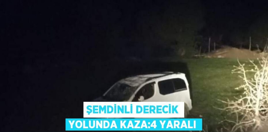 ŞEMDİNLİ DERECİK YOLUNDA KAZA:4 YARALI