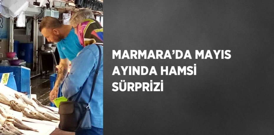 MARMARA’DA MAYIS AYINDA HAMSİ SÜRPRİZİ