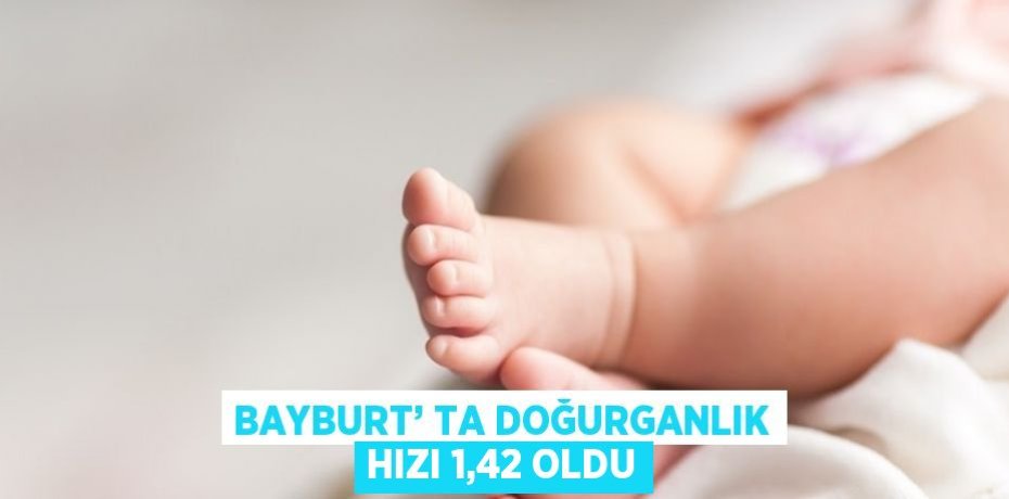 BAYBURT’ TA DOĞURGANLIK HIZI 1,42 OLDU