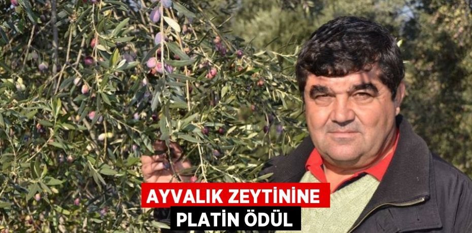 AYVALIK ZEYTİNİNE PLATİN ÖDÜL