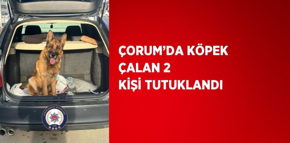ÇORUM’DA KÖPEK ÇALAN 2 KİŞİ TUTUKLANDI