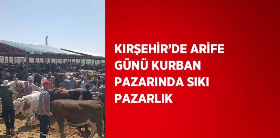 KIRŞEHİR’DE ARİFE GÜNÜ KURBAN PAZARINDA SIKI PAZARLIK