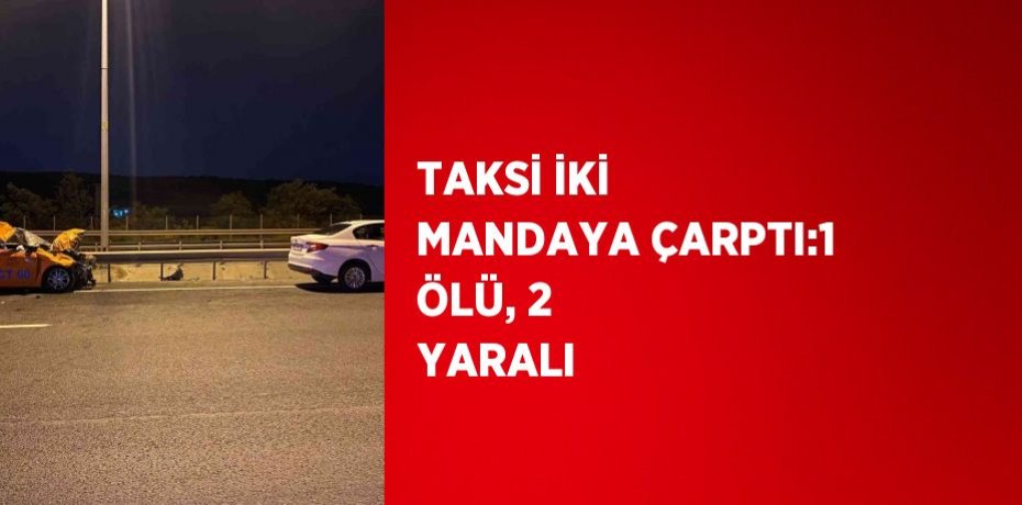 TAKSİ İKİ MANDAYA ÇARPTI:1 ÖLÜ, 2 YARALI