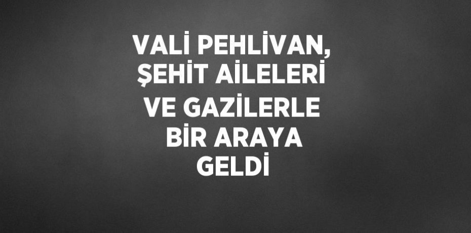 VALİ PEHLİVAN, ŞEHİT AİLELERİ VE GAZİLERLE BİR ARAYA GELDİ