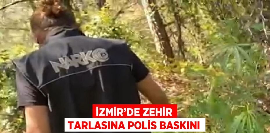 İZMİR’DE ZEHİR TARLASINA POLİS BASKINI