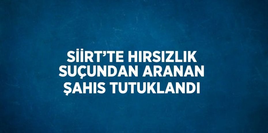 SİİRT’TE HIRSIZLIK SUÇUNDAN ARANAN ŞAHIS TUTUKLANDI