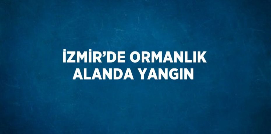 İZMİR’DE ORMANLIK ALANDA YANGIN