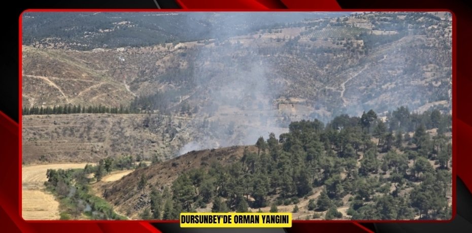 Dursunbey'de orman yangını  