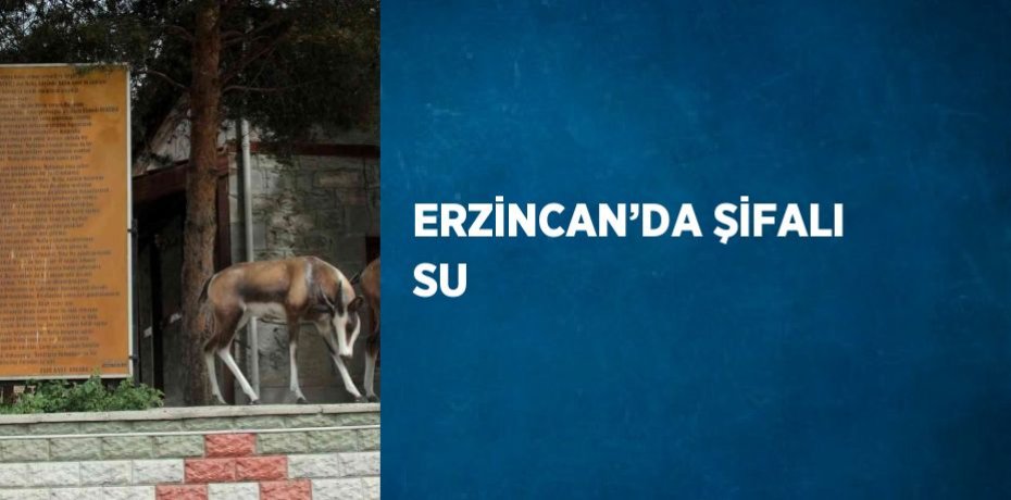 ERZİNCAN’DA ŞİFALI SU