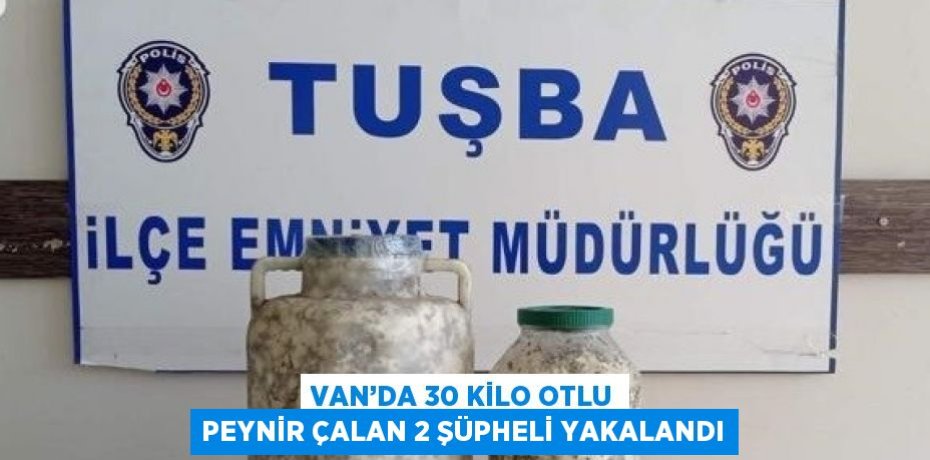 VAN’DA 30 KİLO OTLU PEYNİR ÇALAN 2 ŞÜPHELİ YAKALANDI