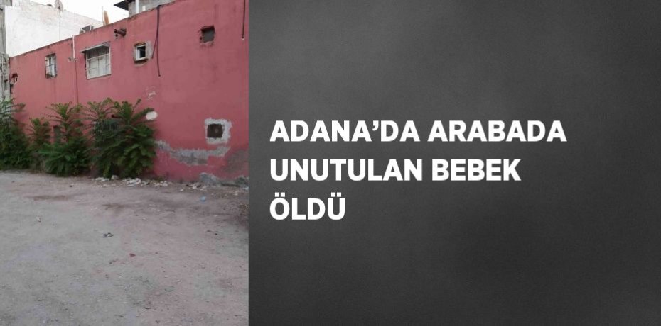 ADANA’DA ARABADA UNUTULAN BEBEK ÖLDÜ