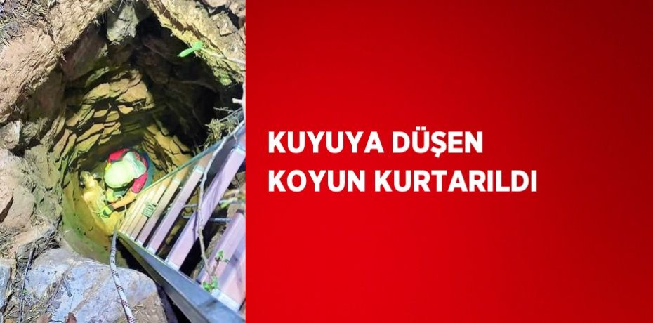 KUYUYA DÜŞEN KOYUN KURTARILDI