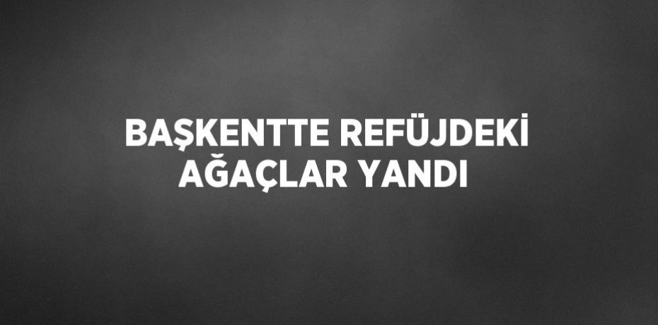 BAŞKENTTE REFÜJDEKİ AĞAÇLAR YANDI