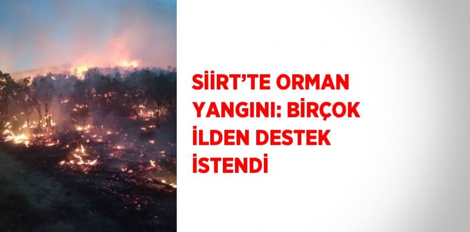 SİİRT’TE ORMAN YANGINI: BİRÇOK İLDEN DESTEK İSTENDİ