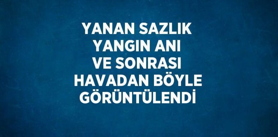 YANAN SAZLIK YANGIN ANI VE SONRASI HAVADAN BÖYLE GÖRÜNTÜLENDİ