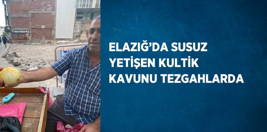 ELAZIĞ’DA SUSUZ YETİŞEN KULTİK KAVUNU TEZGAHLARDA