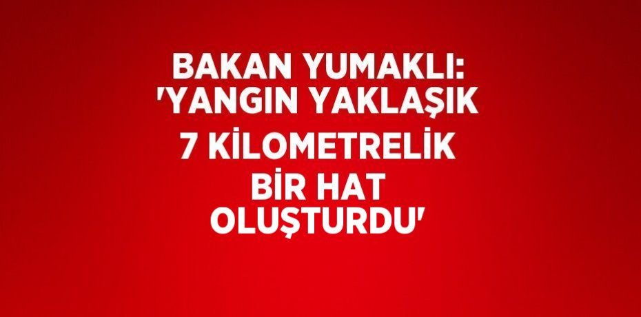BAKAN YUMAKLI: 'YANGIN YAKLAŞIK 7 KİLOMETRELİK BİR HAT OLUŞTURDU'