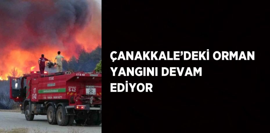 ÇANAKKALE’DEKİ ORMAN YANGINI DEVAM EDİYOR