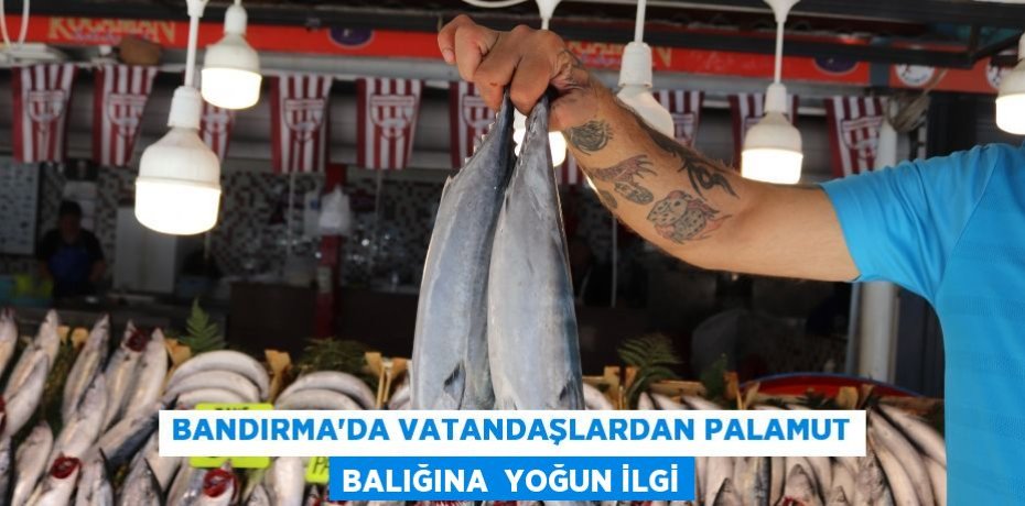 Bandırma'da vatandaşlardan palamut balığına  yoğun ilgi