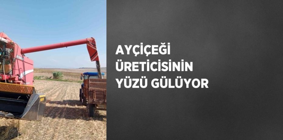 AYÇİÇEĞİ ÜRETİCİSİNİN YÜZÜ GÜLÜYOR