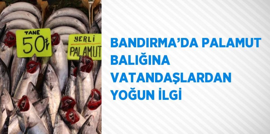 BANDIRMA’DA PALAMUT BALIĞINA VATANDAŞLARDAN YOĞUN İLGİ