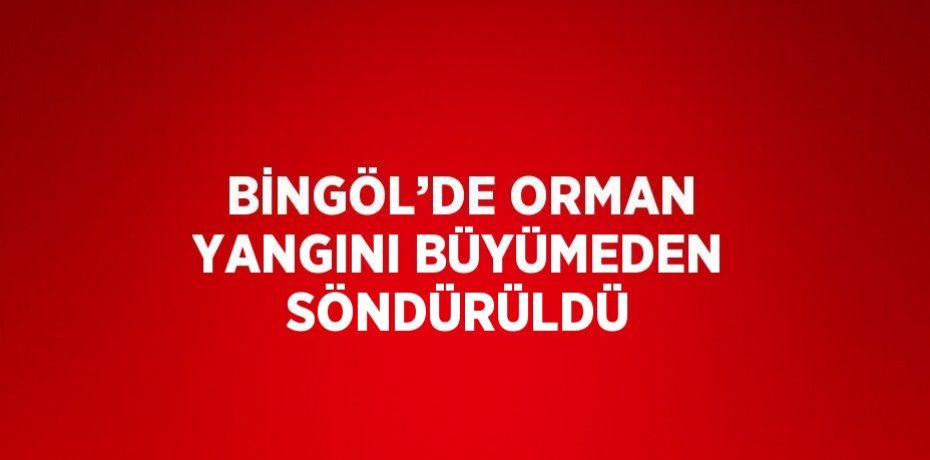 BİNGÖL’DE ORMAN YANGINI BÜYÜMEDEN SÖNDÜRÜLDÜ