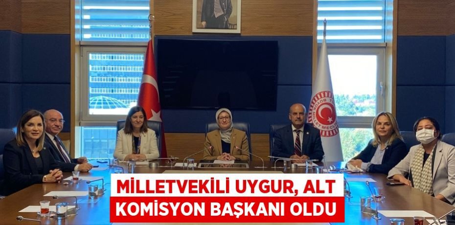 MİLLETVEKİLİ UYGUR, ALT KOMİSYON BAŞKANI OLDU