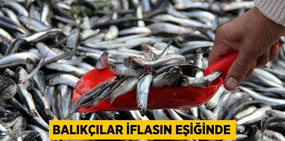 BALIKÇILAR İFLASIN EŞİĞİNDE