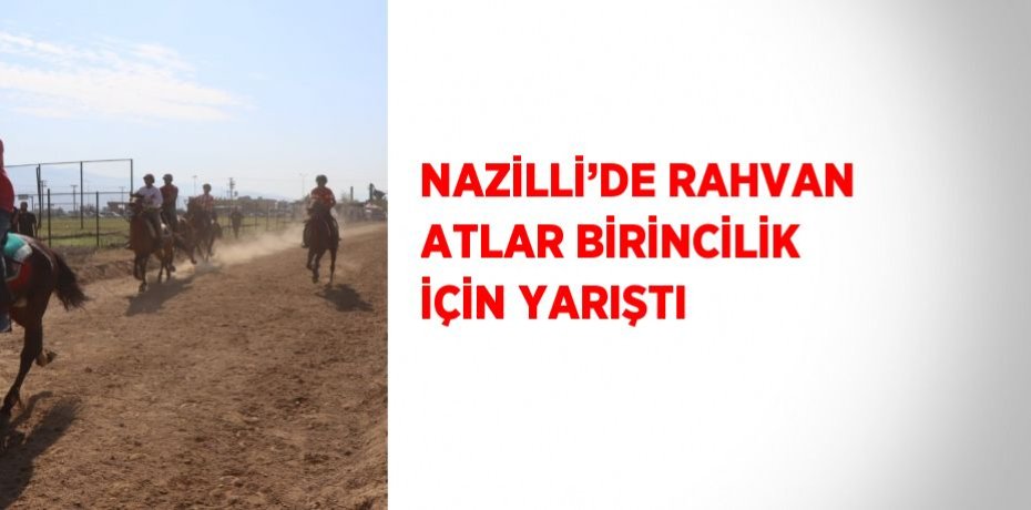 NAZİLLİ’DE RAHVAN ATLAR BİRİNCİLİK İÇİN YARIŞTI