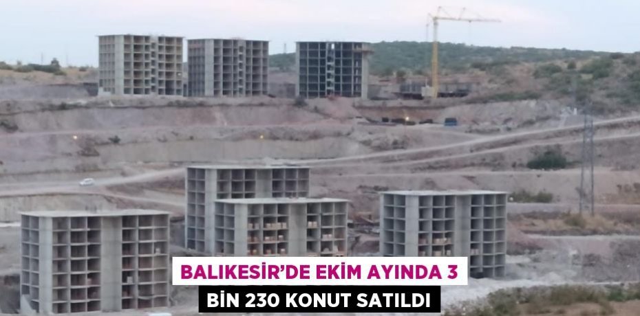 BALIKESİR’DE EKİM AYINDA 3 BİN 230 KONUT SATILDI